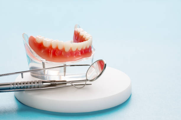 Professional  Holistic Dental Services in Hebron Estates, KY